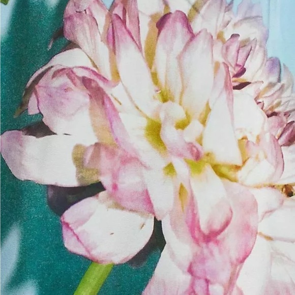 Anthropologie Photorealistic Silk Dress Duchess de Nemours peonies blue Sz 6 - Picture 15 of 16